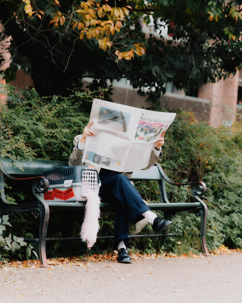 Pedestal FURRY Power Bar 015 Bubble Gum